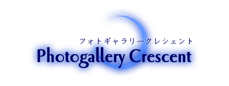  Photogallery Crescent